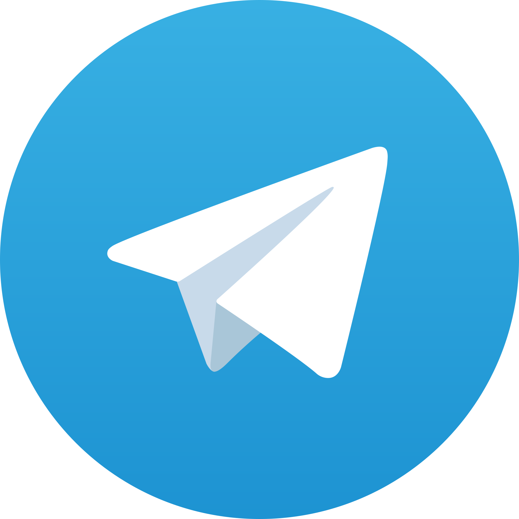 telegram bola